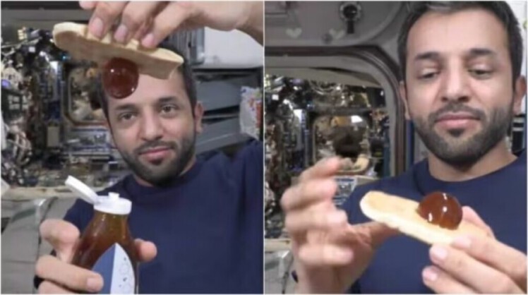 آزمایش عسل در فضا توسط فضانورد عماراتی